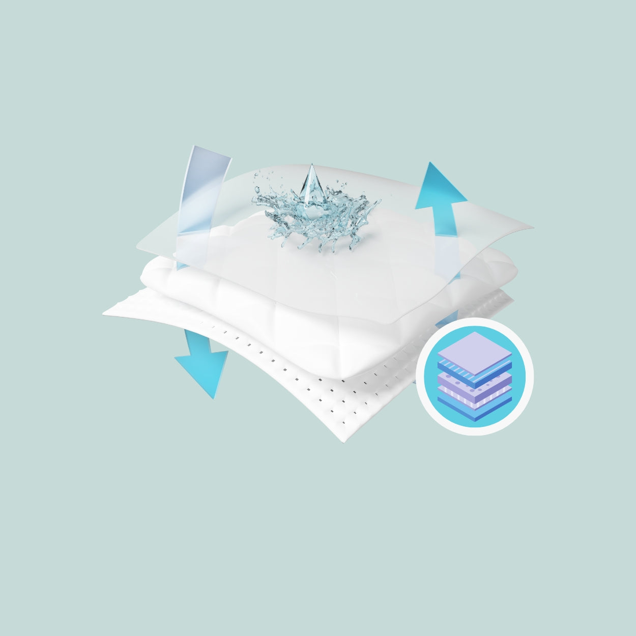 Adult Brief Absorption